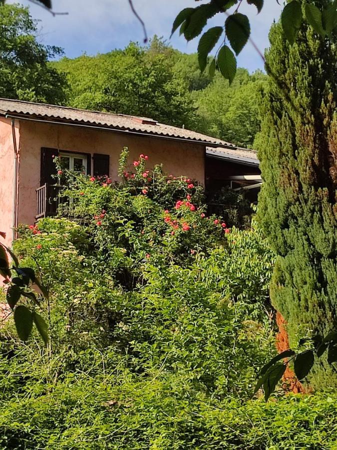 Moulin Vieux Bed & Breakfast La Bollene-Vesubie ภายนอก รูปภาพ