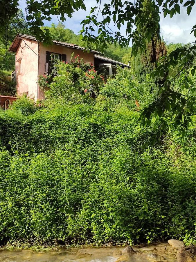 Moulin Vieux Bed & Breakfast La Bollene-Vesubie ภายนอก รูปภาพ